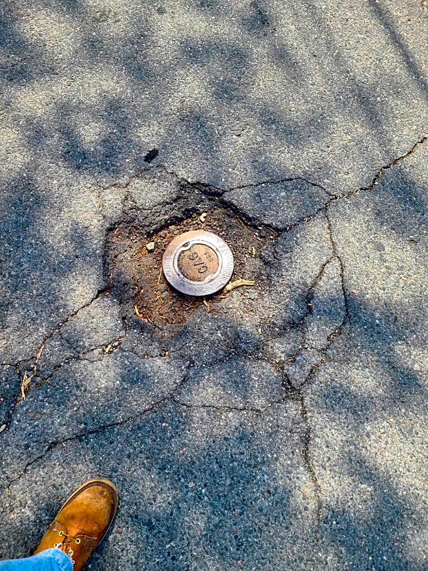 Image submitted with report