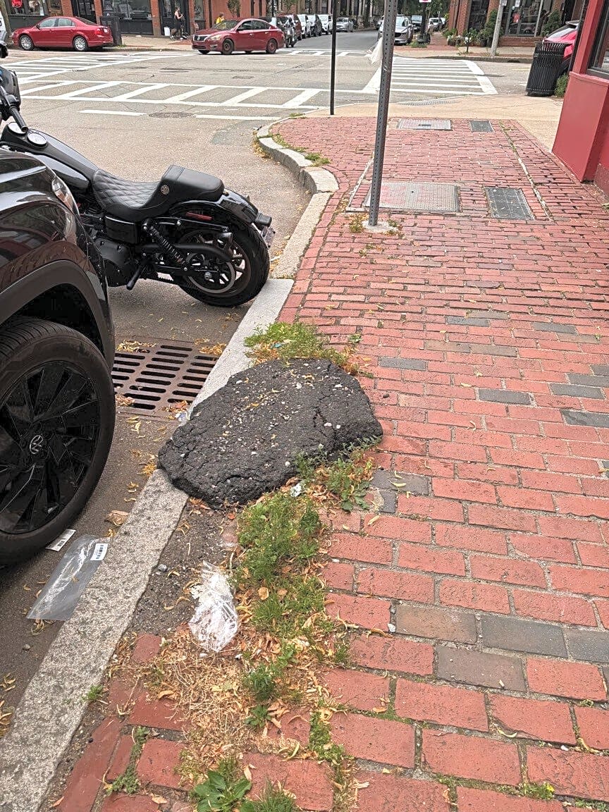 Image submitted with report