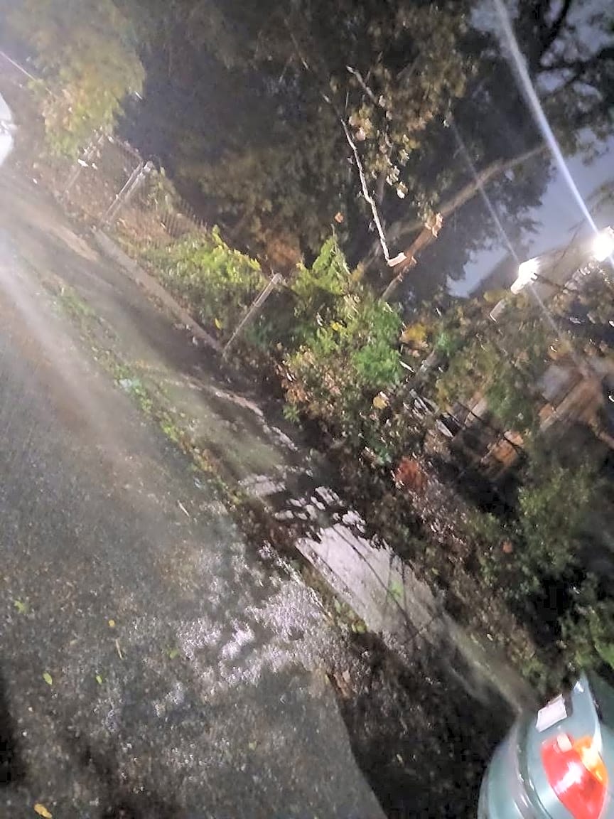 Image submitted with report