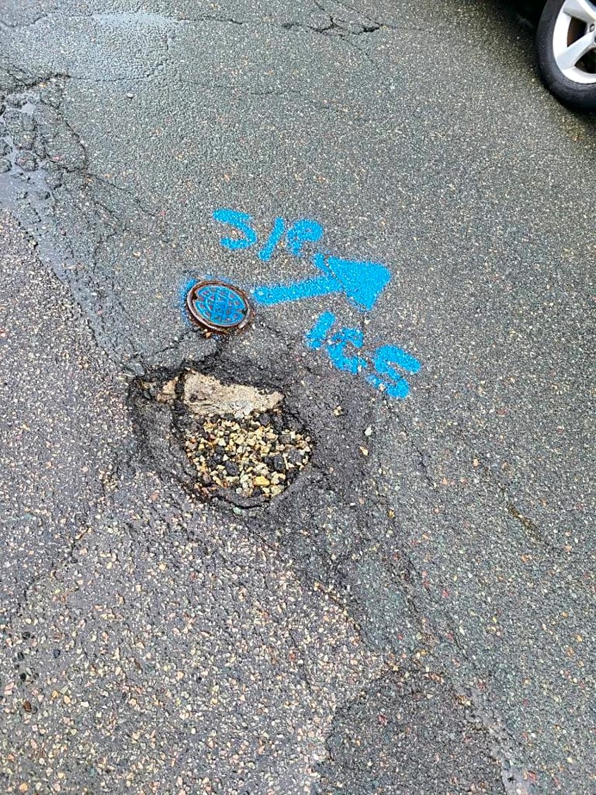 Image submitted with report