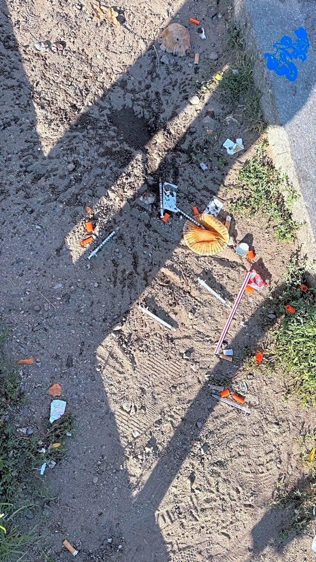 Image submitted with report