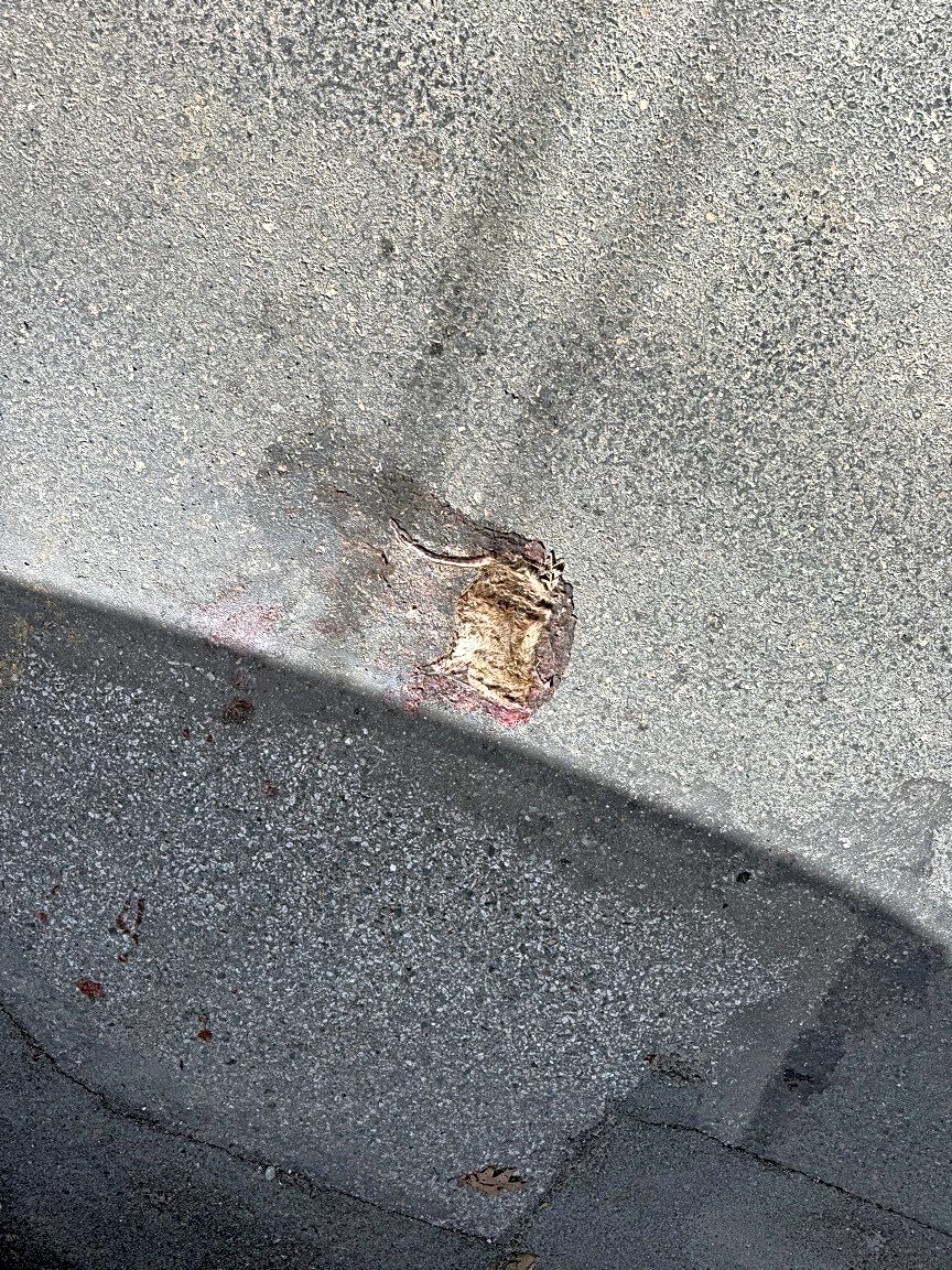 Image submitted with report