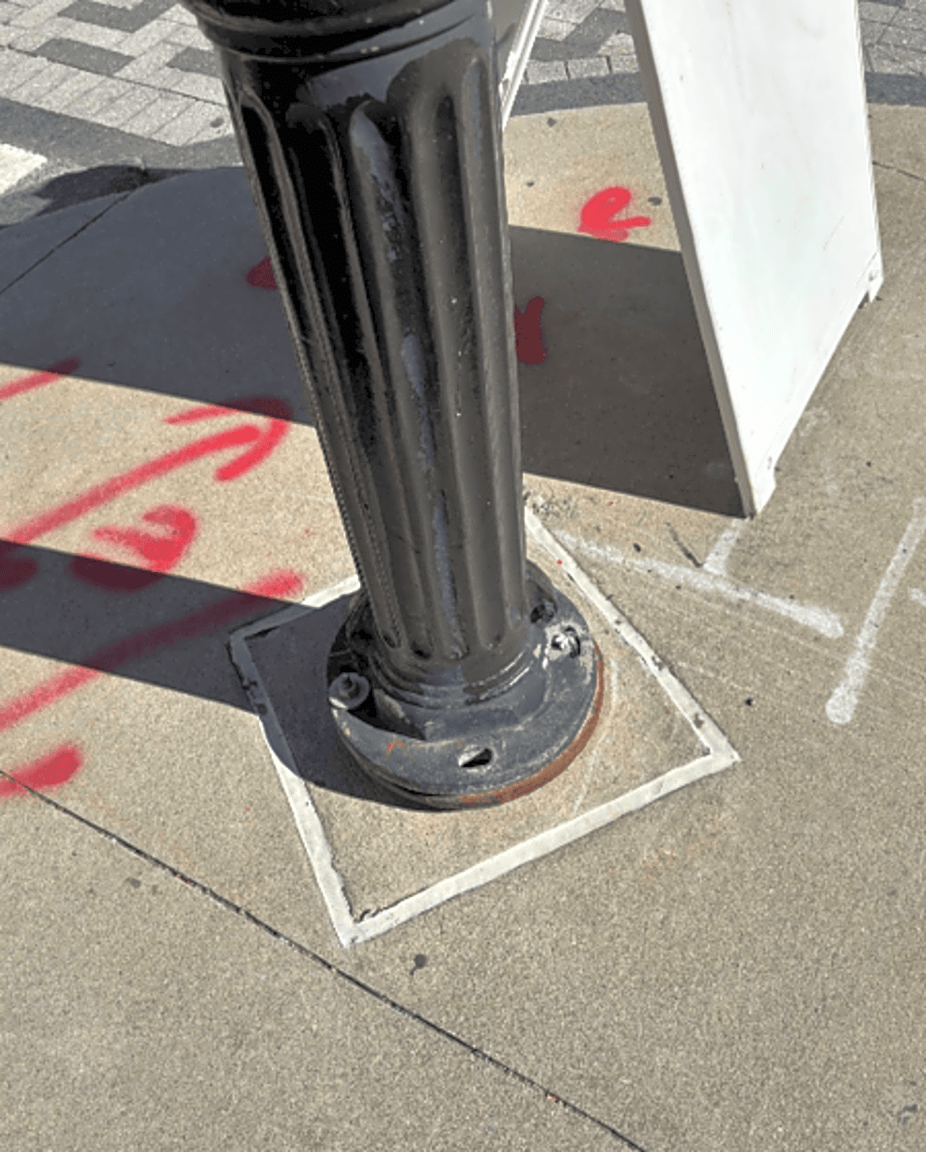 Image submitted with report