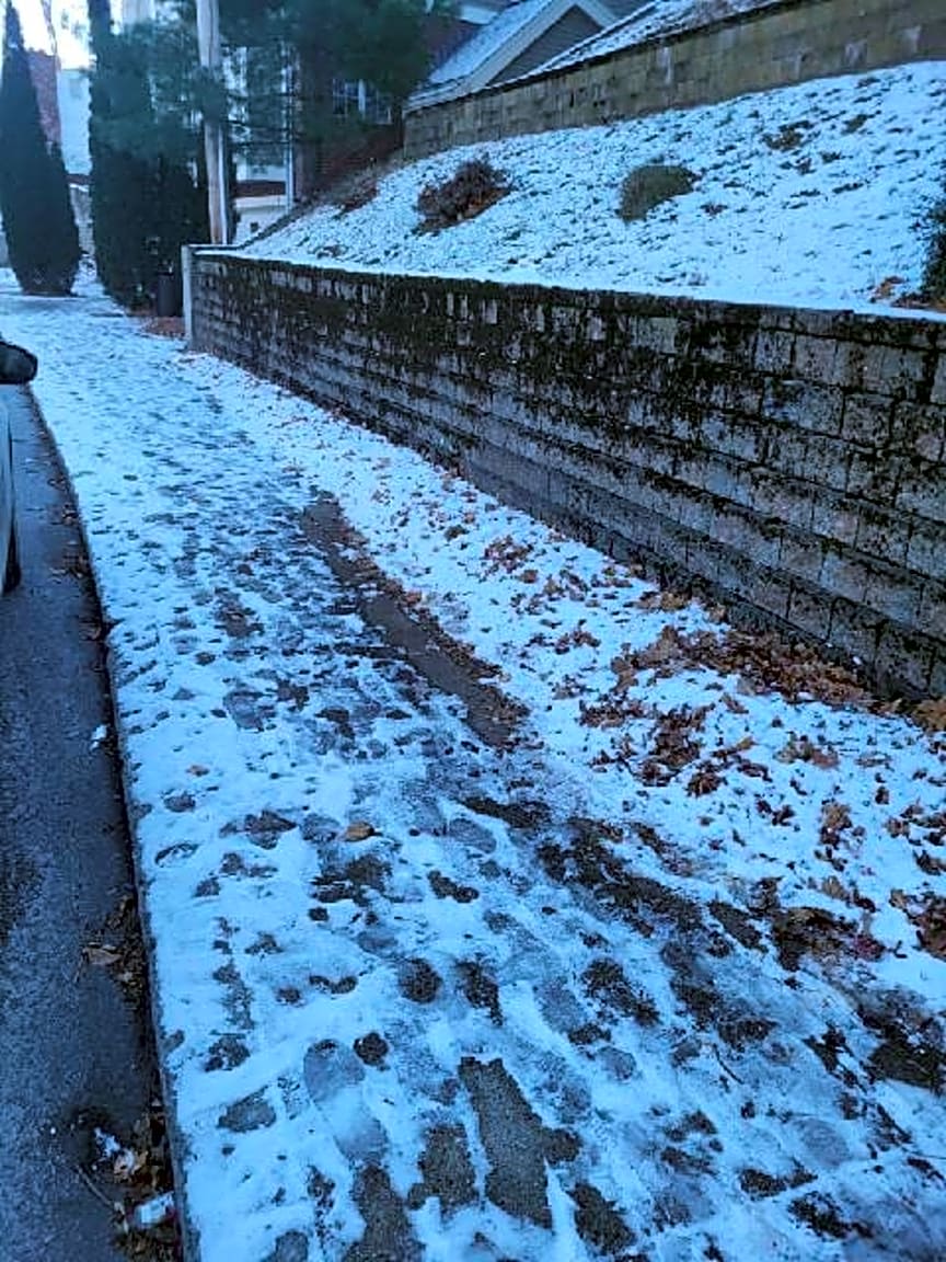 Image submitted with report