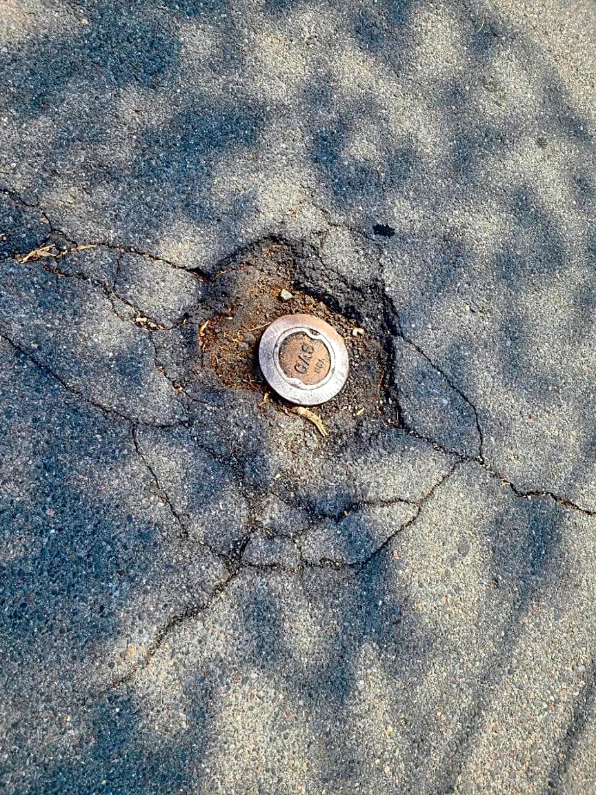 Image submitted with report