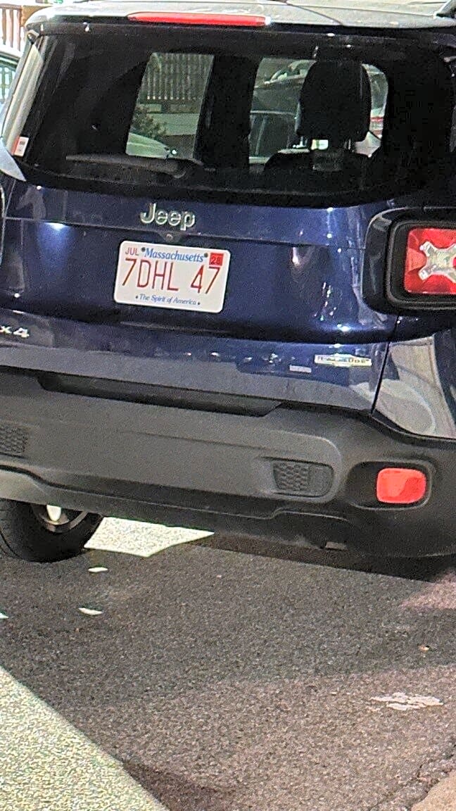 Image submitted with report