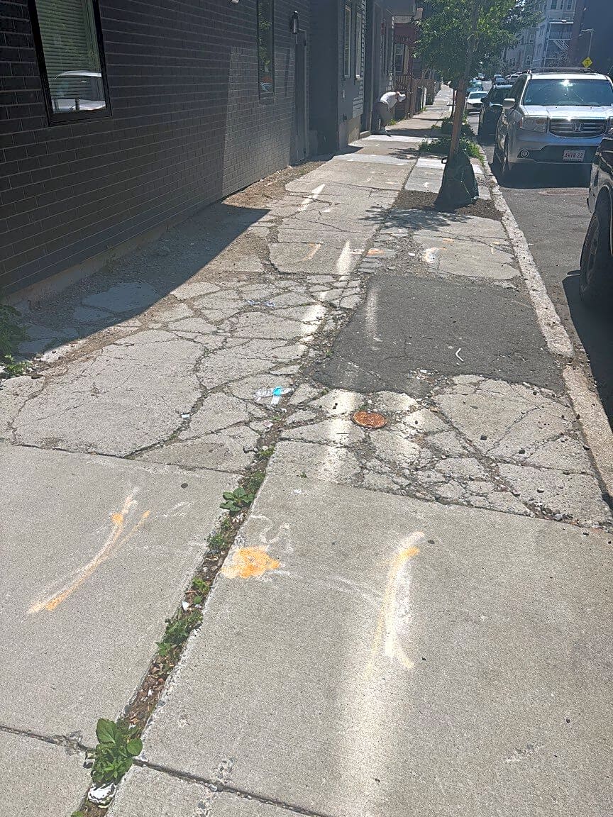 Image submitted with report