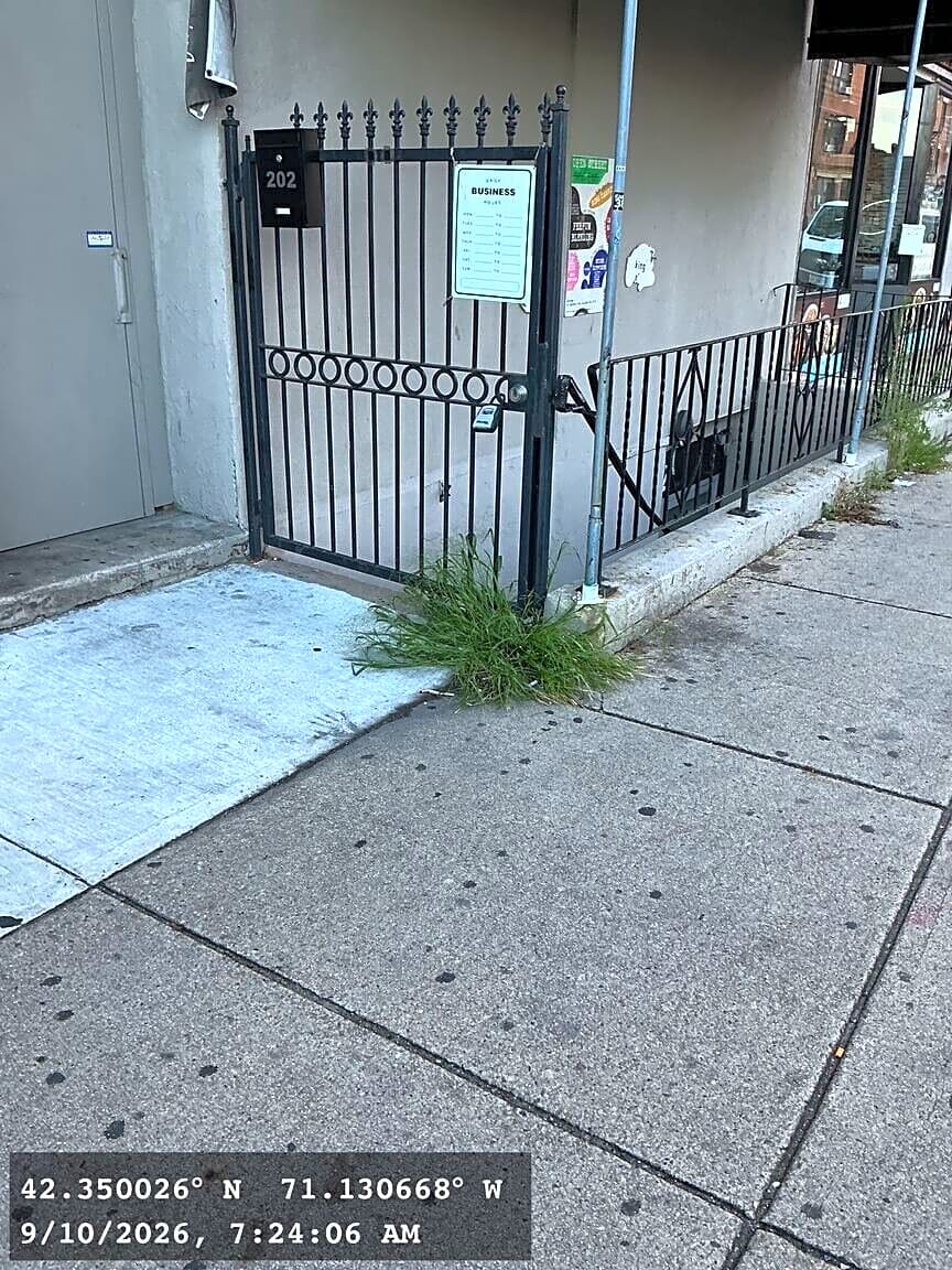 Image submitted with report