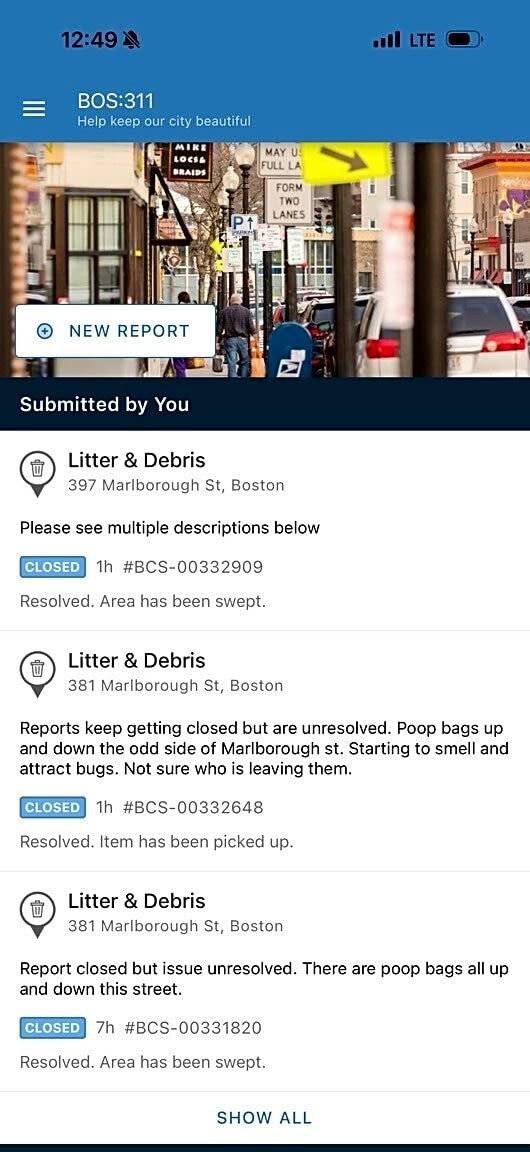 Image submitted with report
