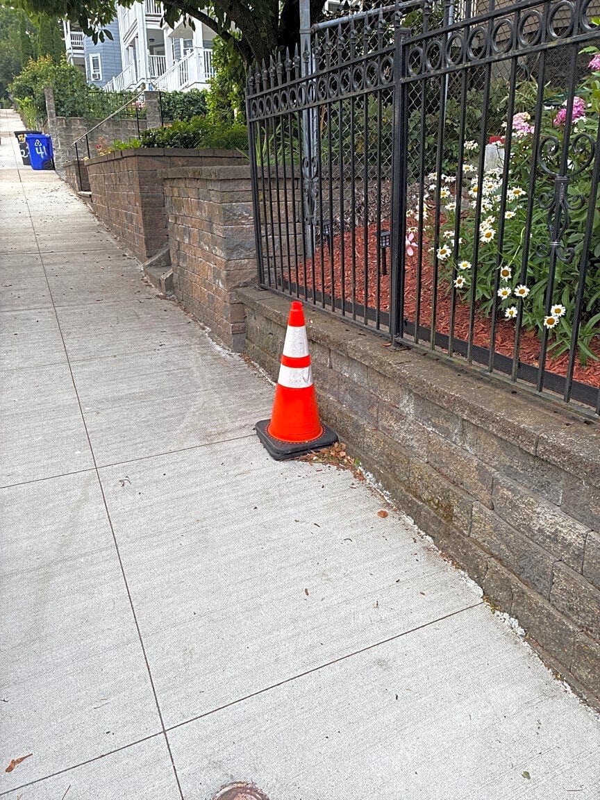 Image submitted with report
