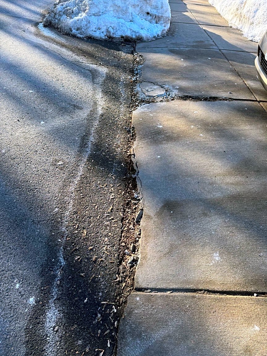 Image submitted with report