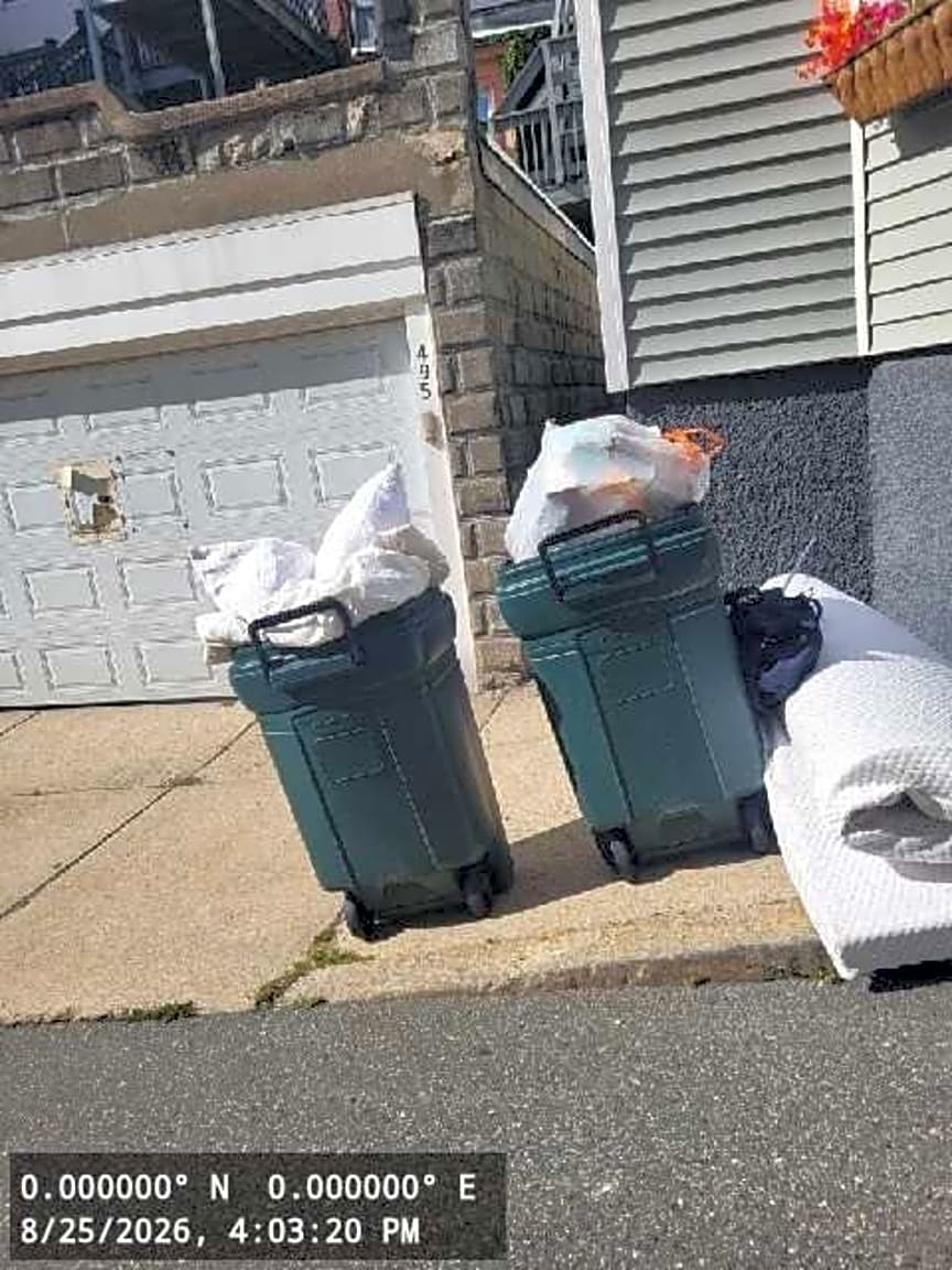 Image submitted with report