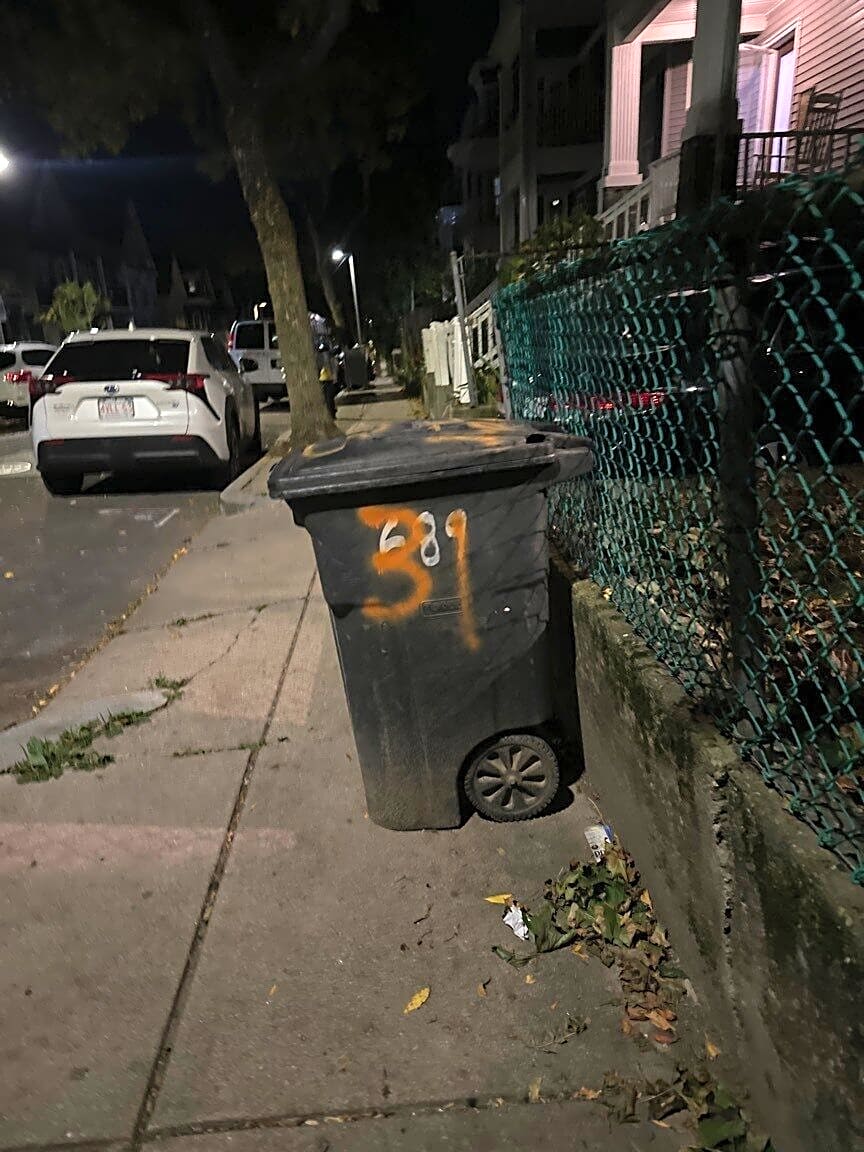 Image submitted with report