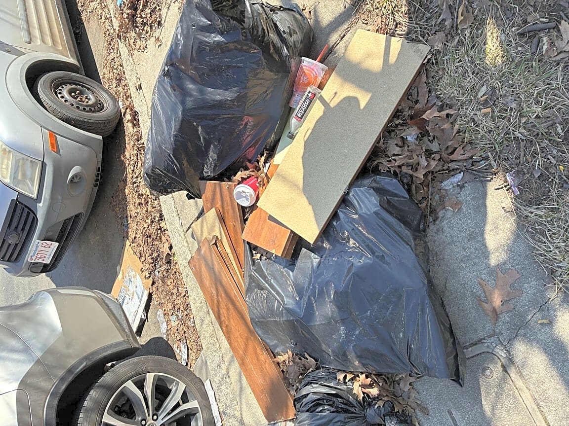 Image submitted with report