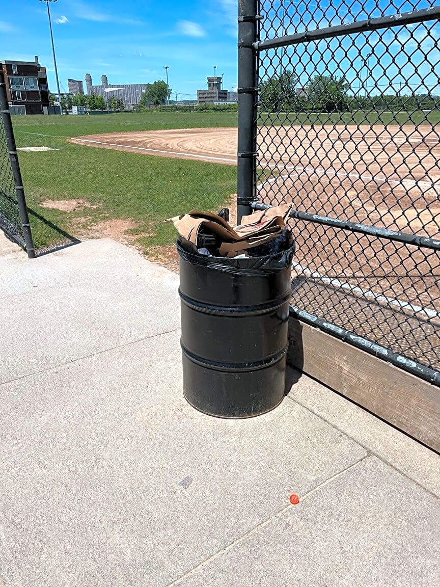Image submitted with report