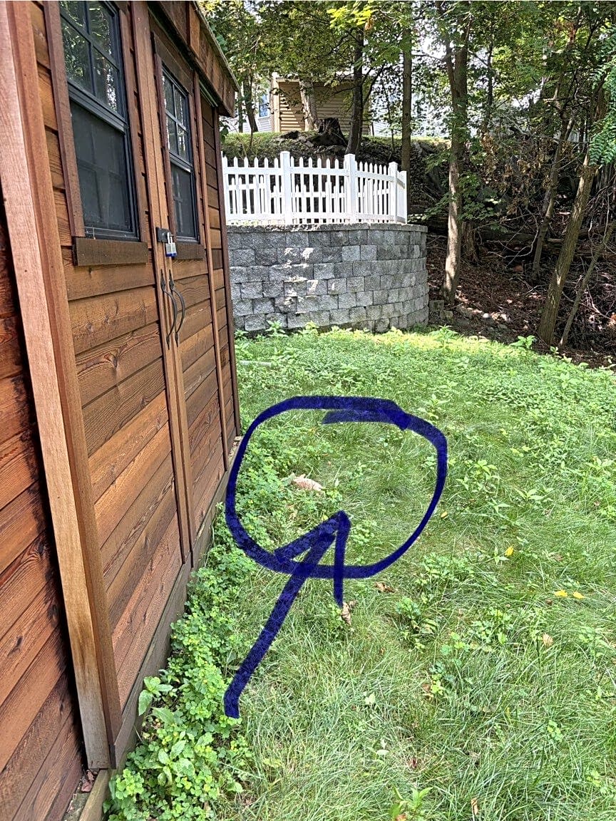 Image submitted with report