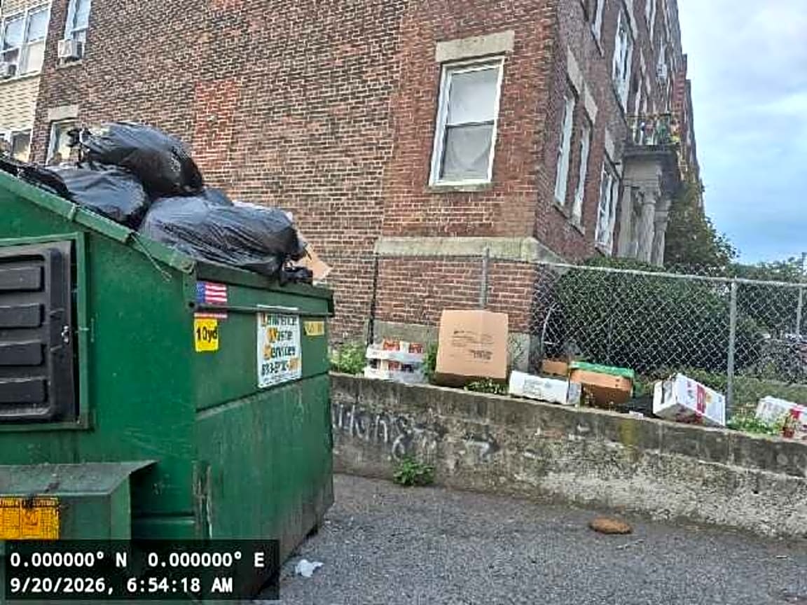 Image submitted with report