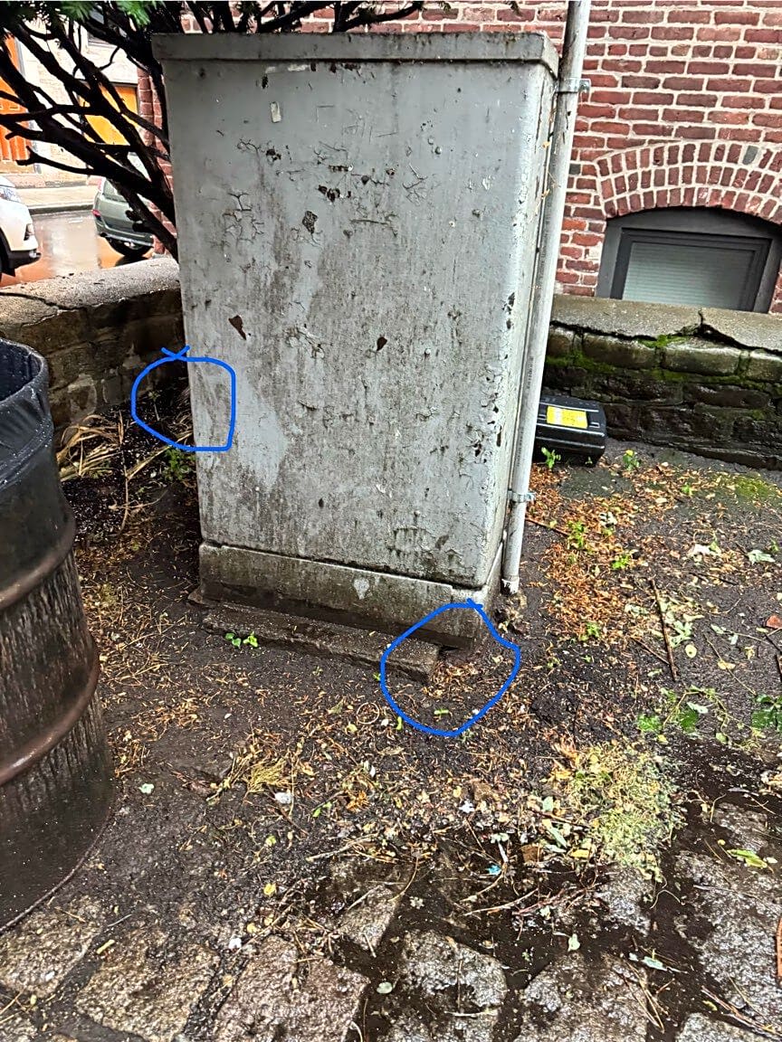 Image submitted with report