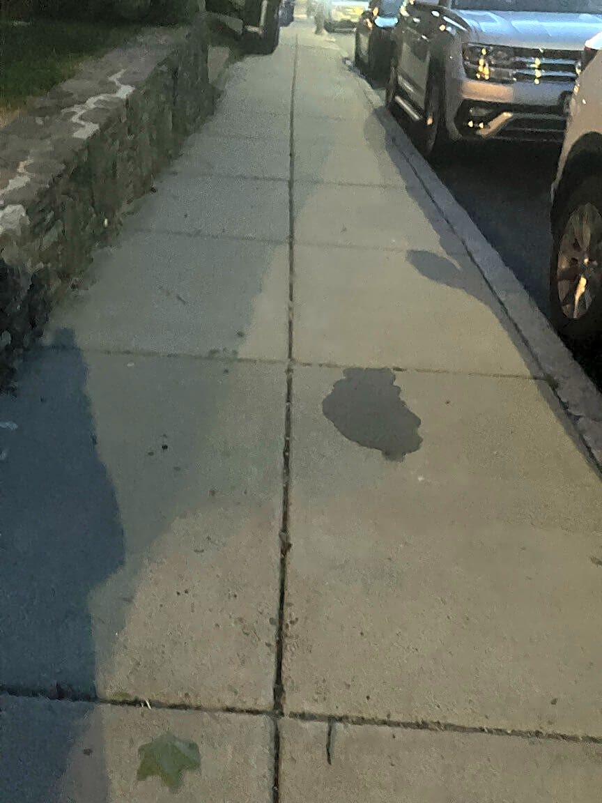 Image submitted with report