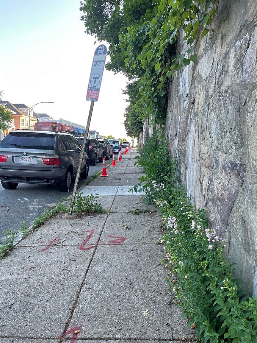 Image submitted with report