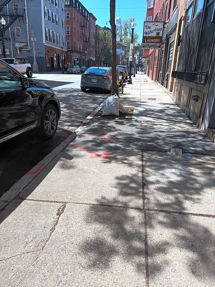 Image submitted with report