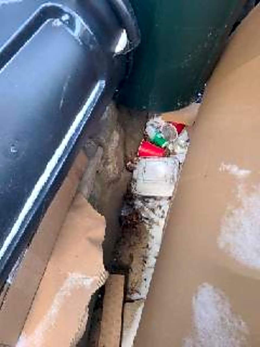 Image submitted with report