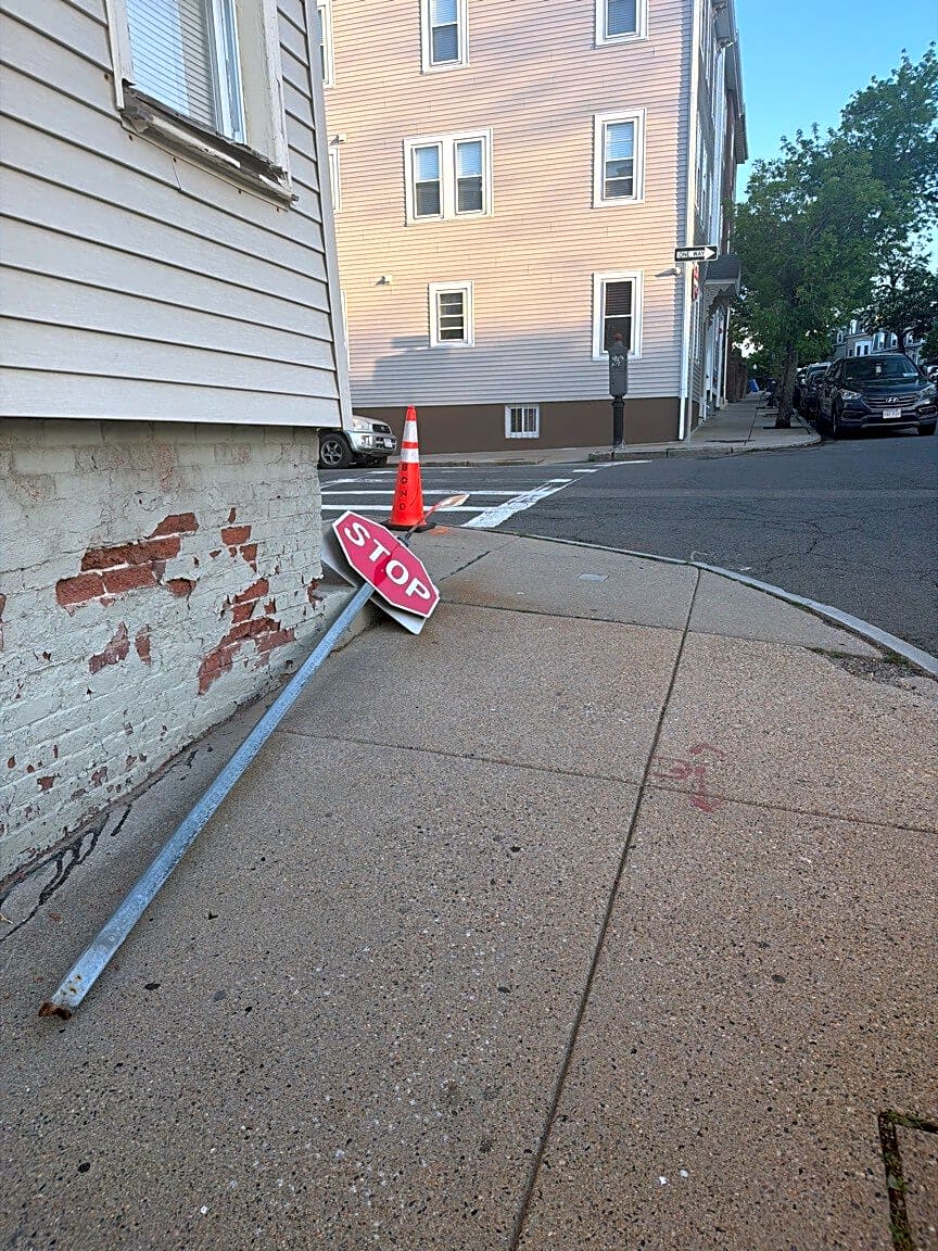 Image submitted with report