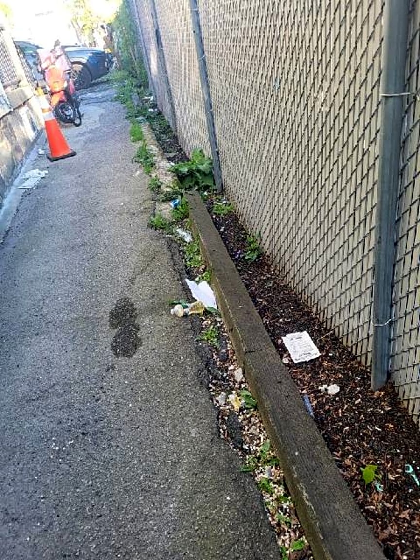 Image submitted with report