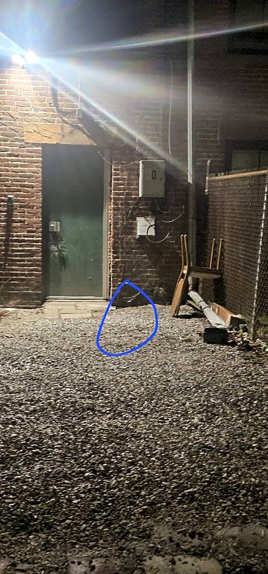 Image submitted with report