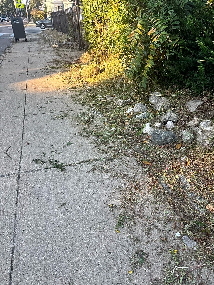 Image submitted with report