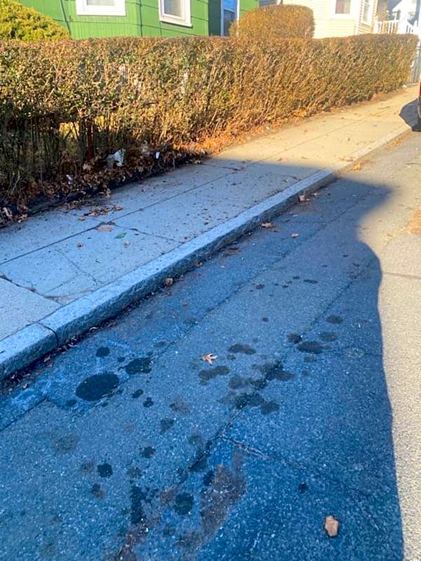 Image submitted with report