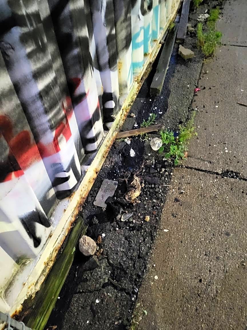 Image submitted with report