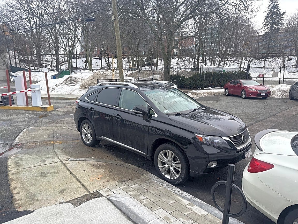 Image submitted with report