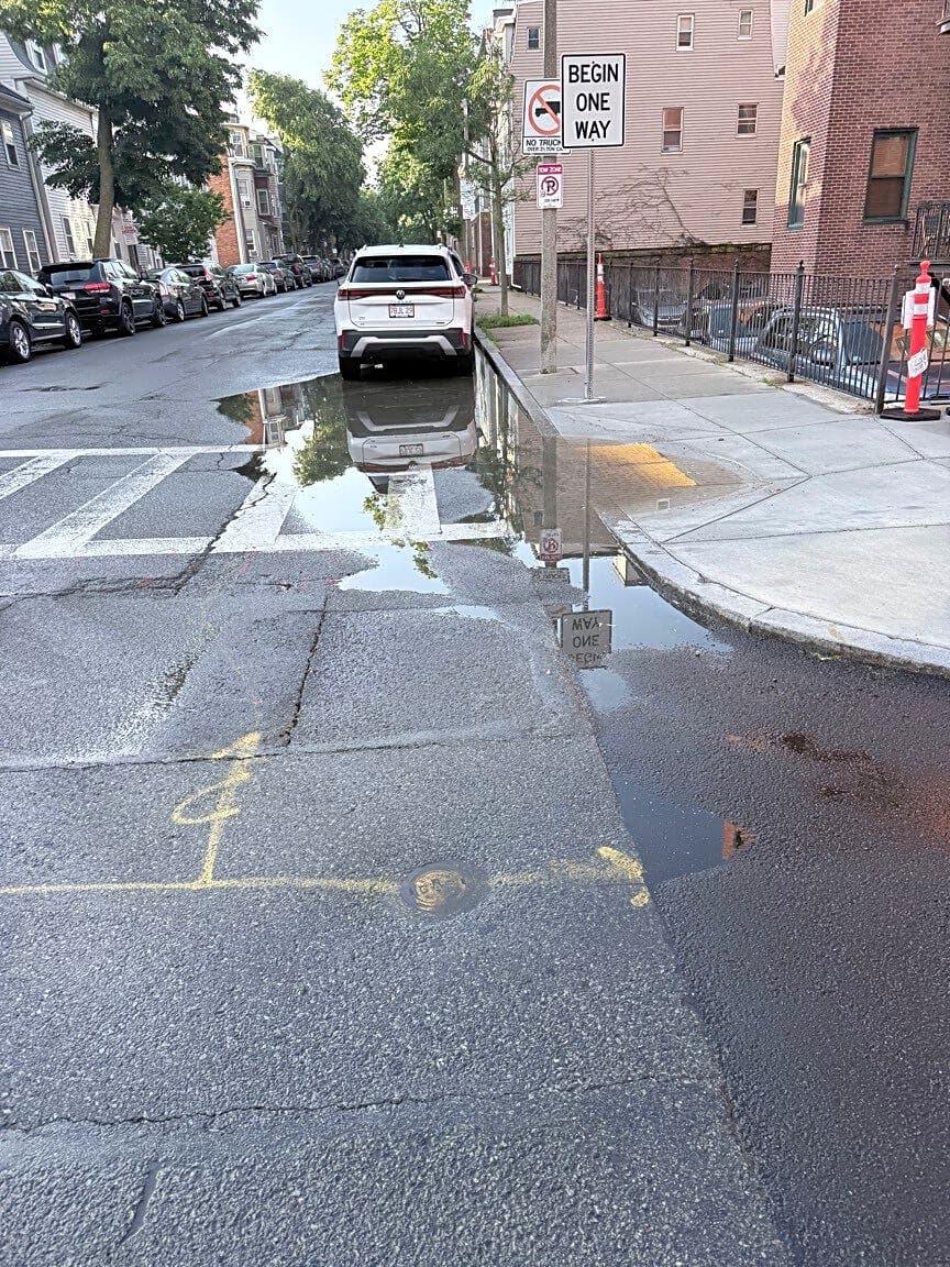 Image submitted with report