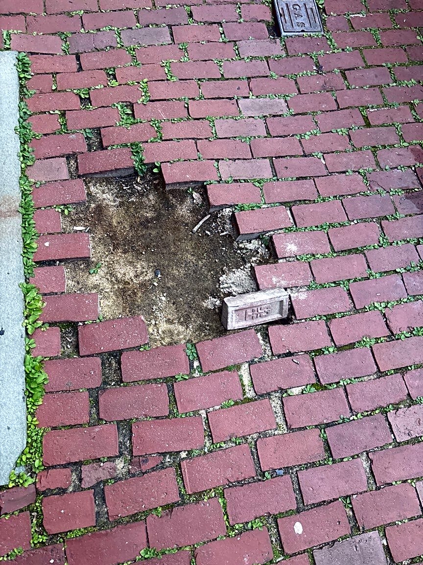 Image submitted with report