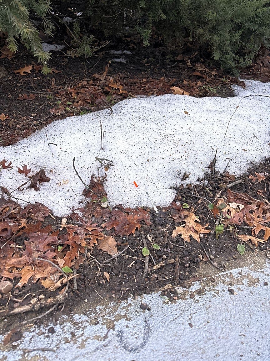 Image submitted with report