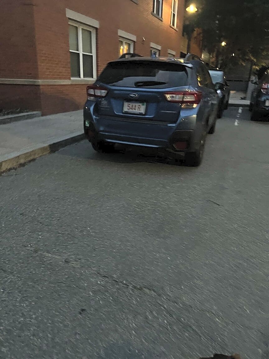 Image submitted with report