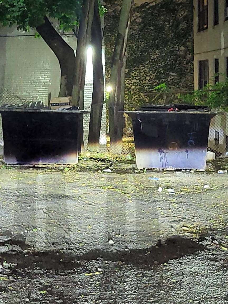 Image submitted with report