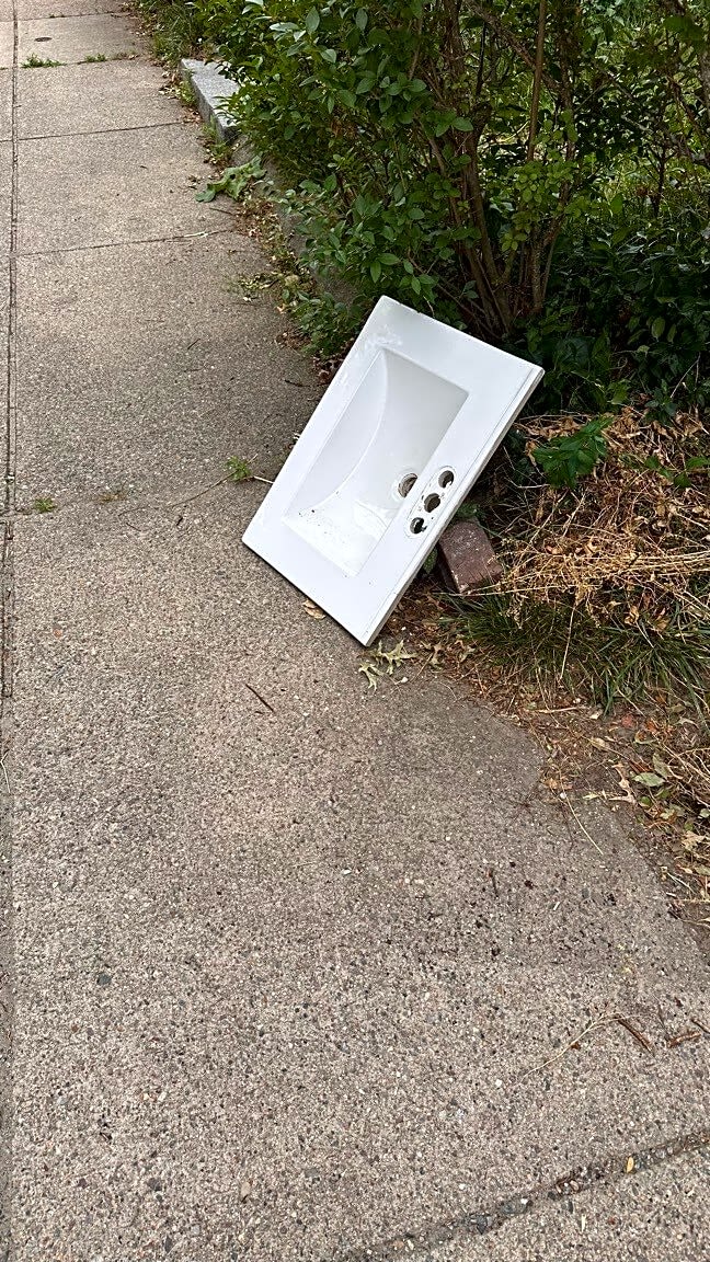 Image submitted with report