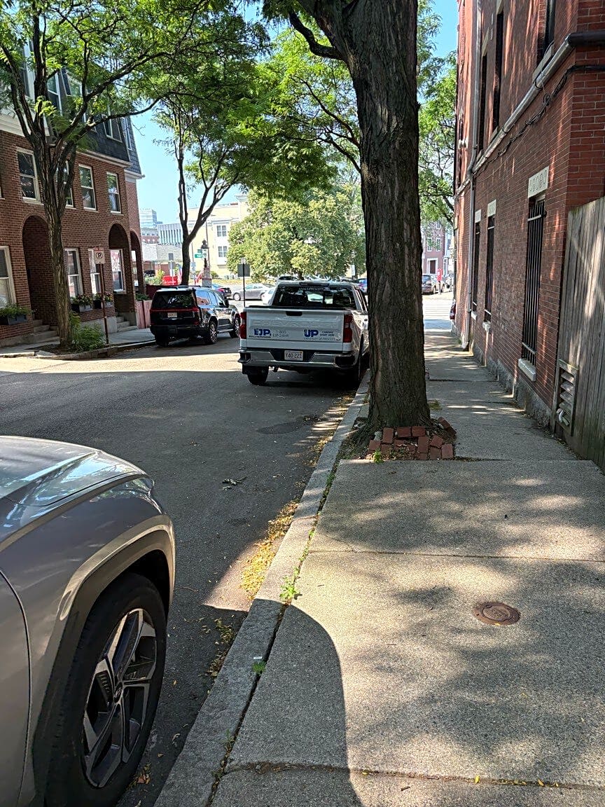 Image submitted with report