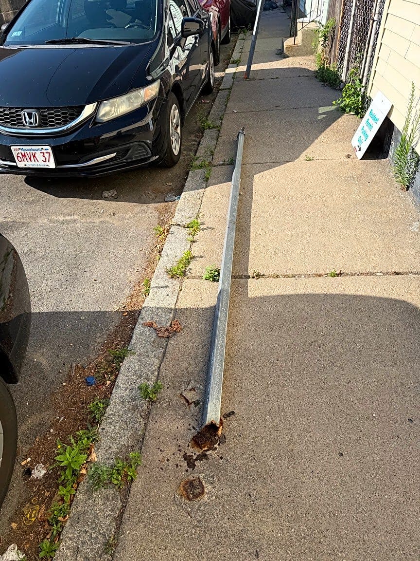 Image submitted with report