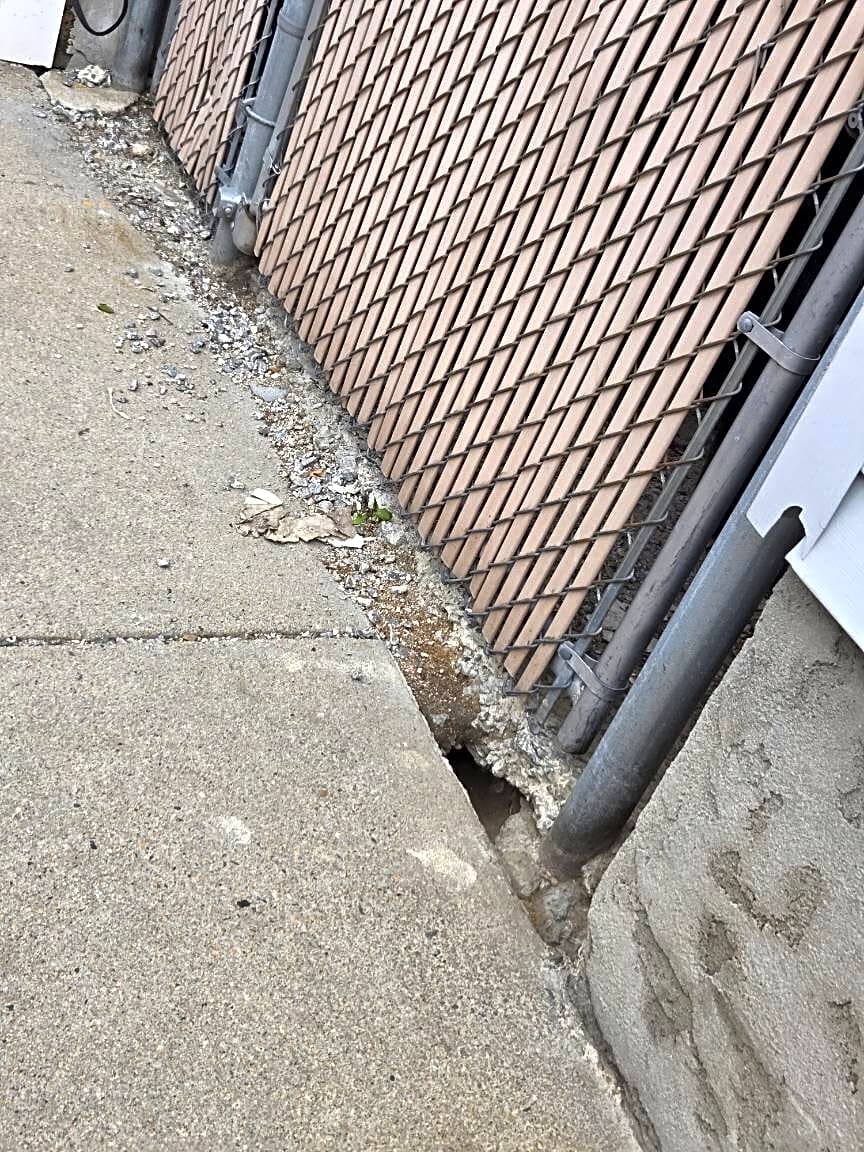 Image submitted with report