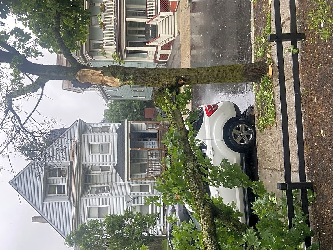 Image submitted with report