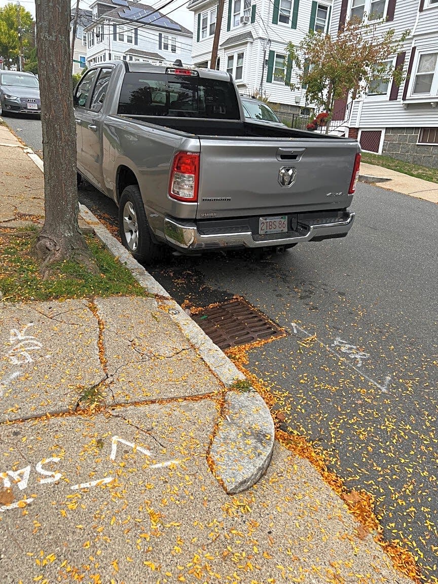 Image submitted with report