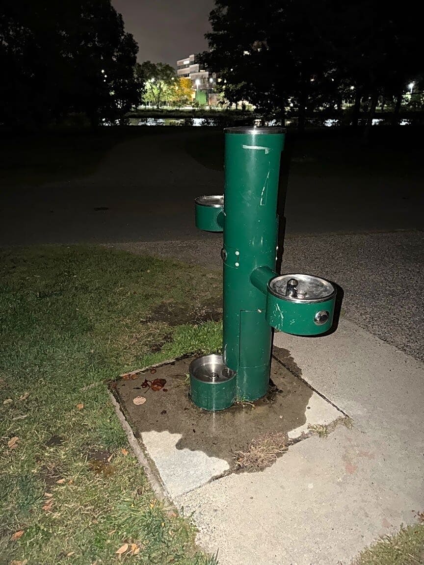 Image submitted with report