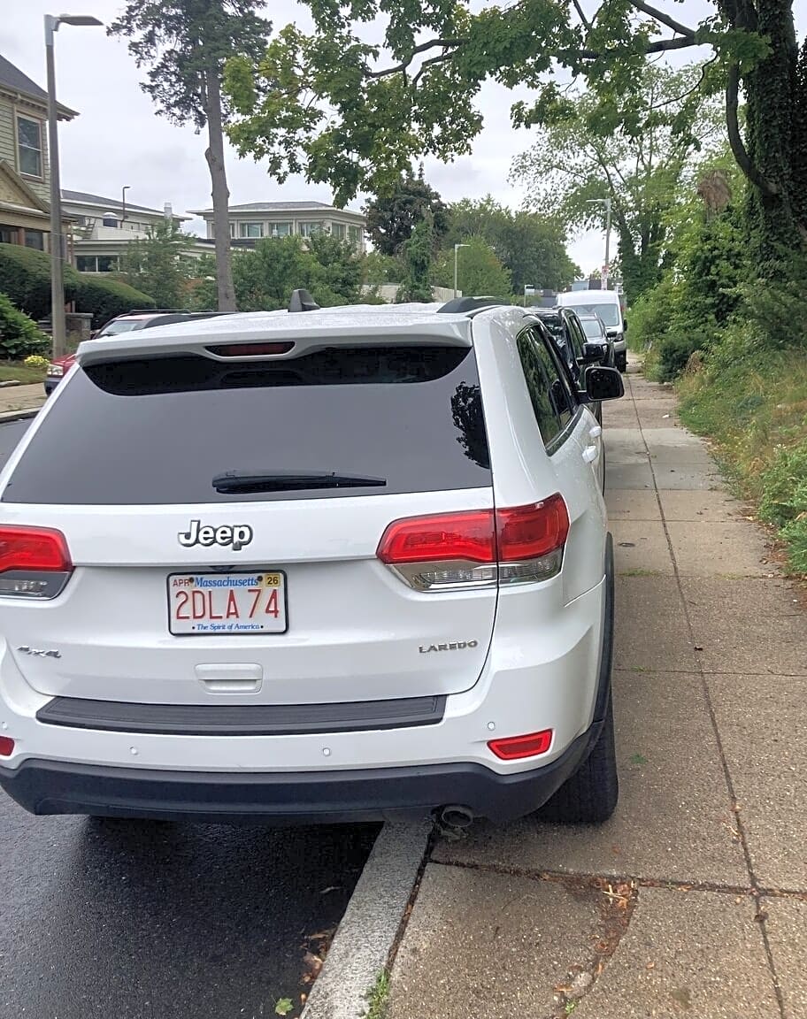 Image submitted with report