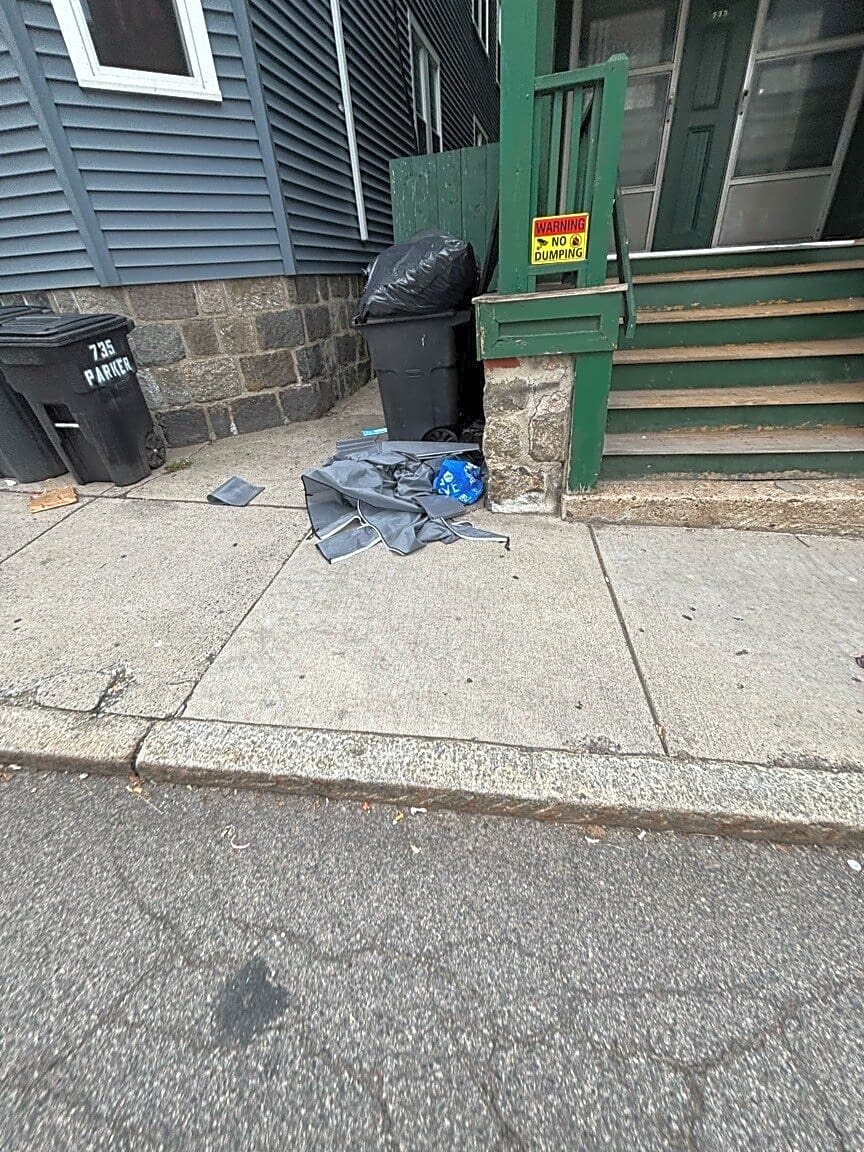 Image submitted with report