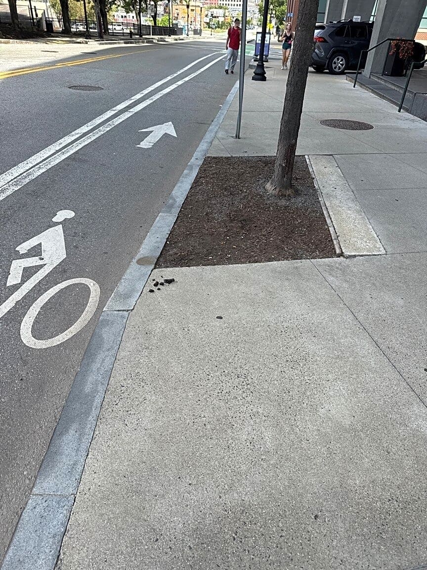 Image submitted with report