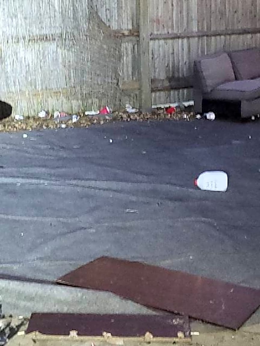 Image submitted with report