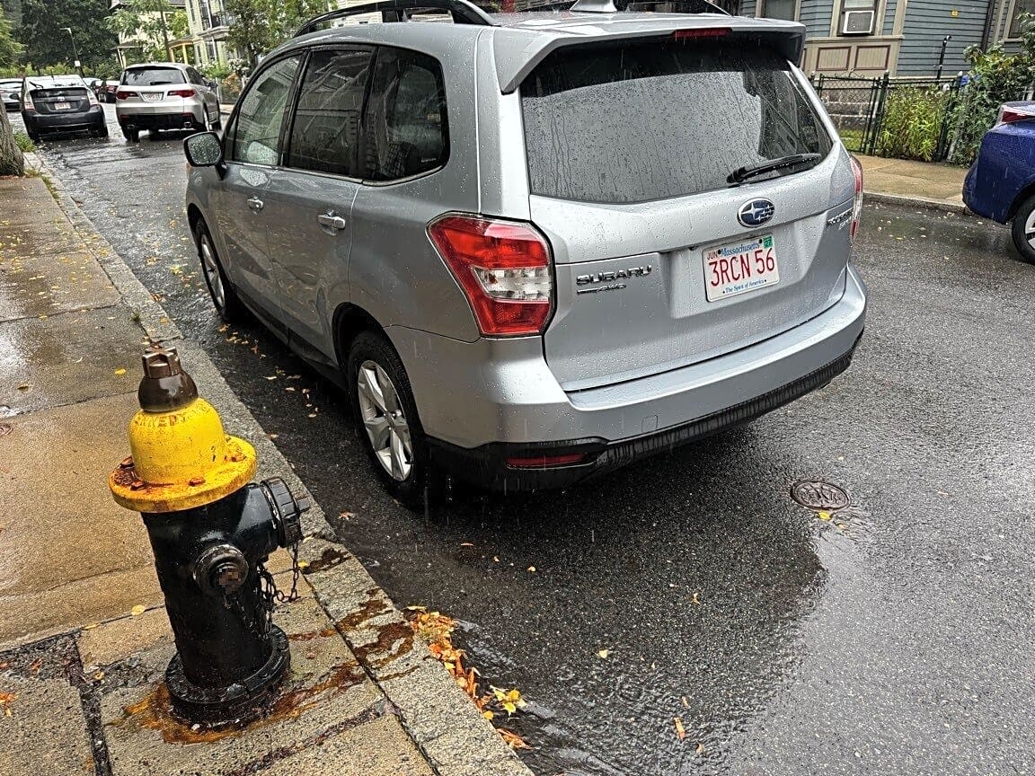 Image submitted with report